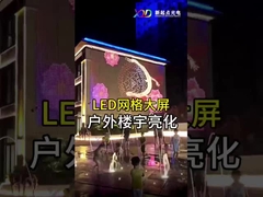 Display de tela de malha LED flexível para interiores P100 LED Dot Light Transparente